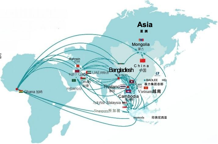 Baolee Overseas International Team